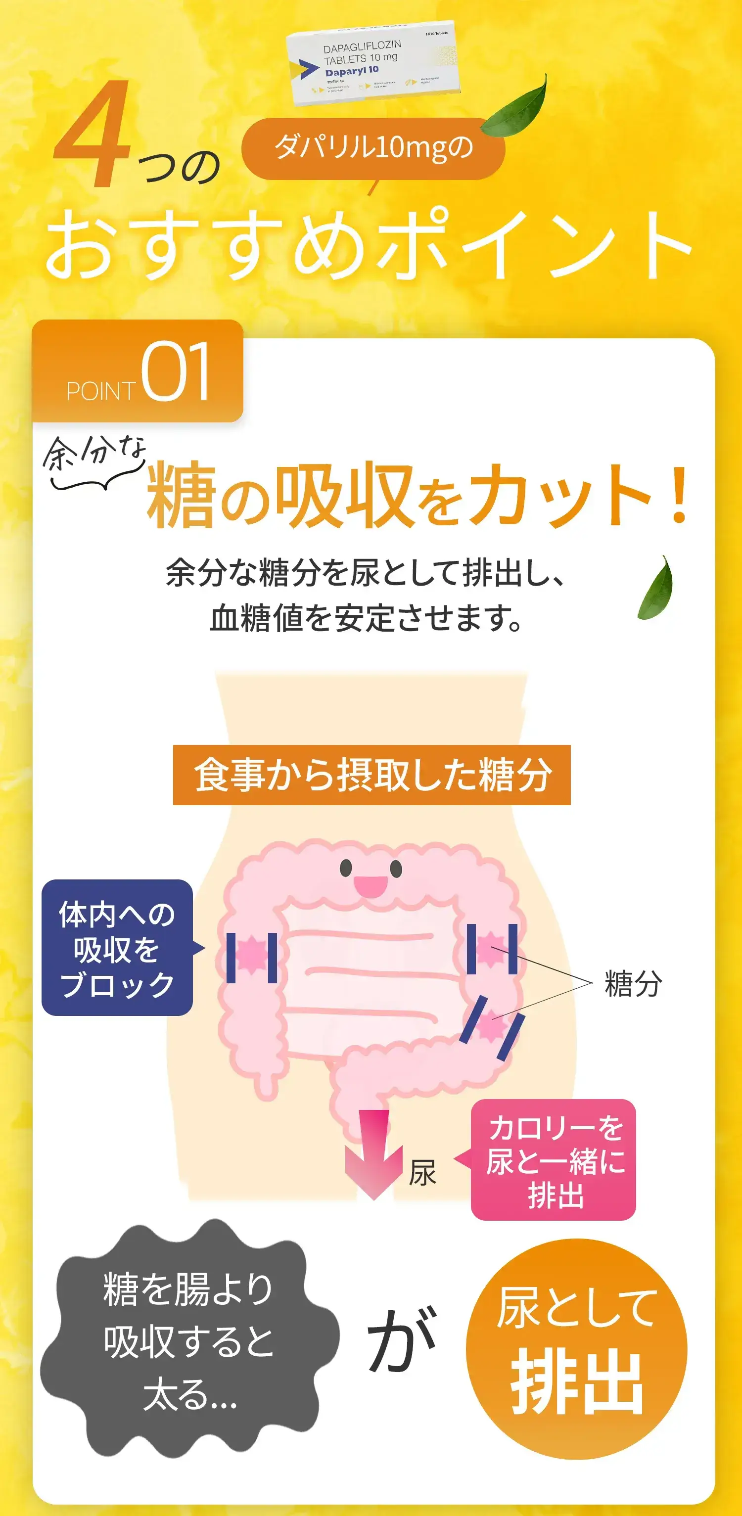 ダパリル10mgの
            4つのおすすめポイント。ポイント01血糖値をしっかりコントロール