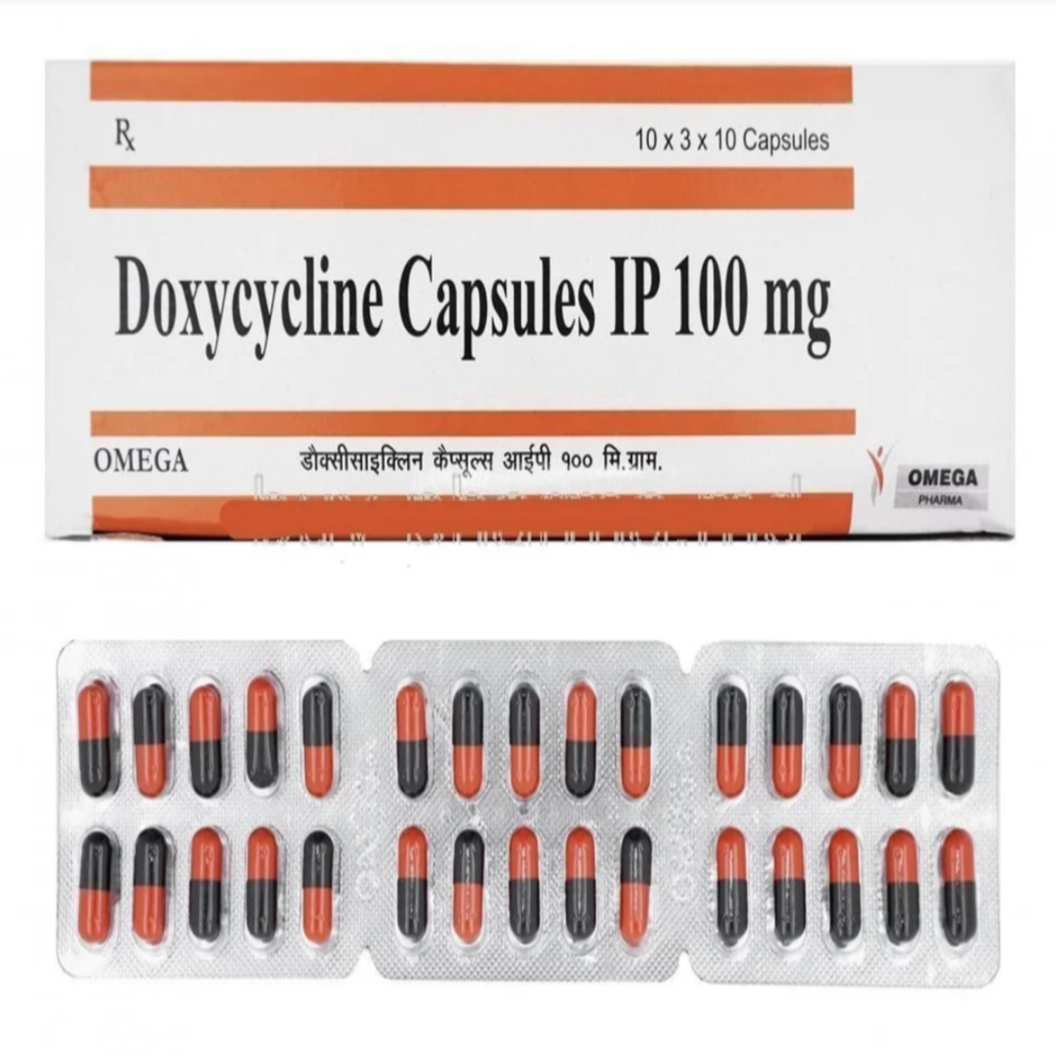 スクリーンショット 2025-12-09 17.19.31 (1)